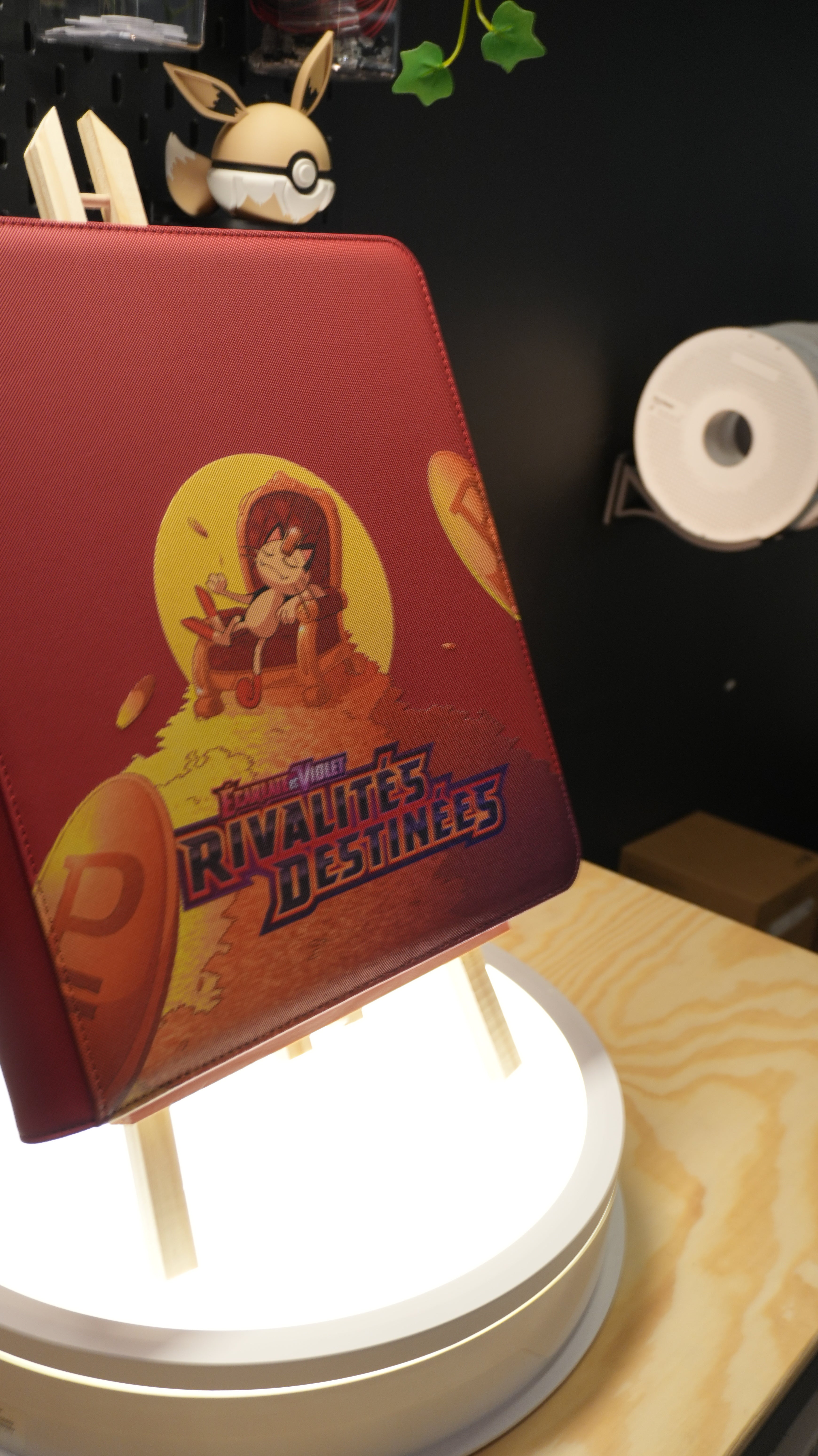 Binder Rivalités Destinées Miaouss & Giovanni EV10