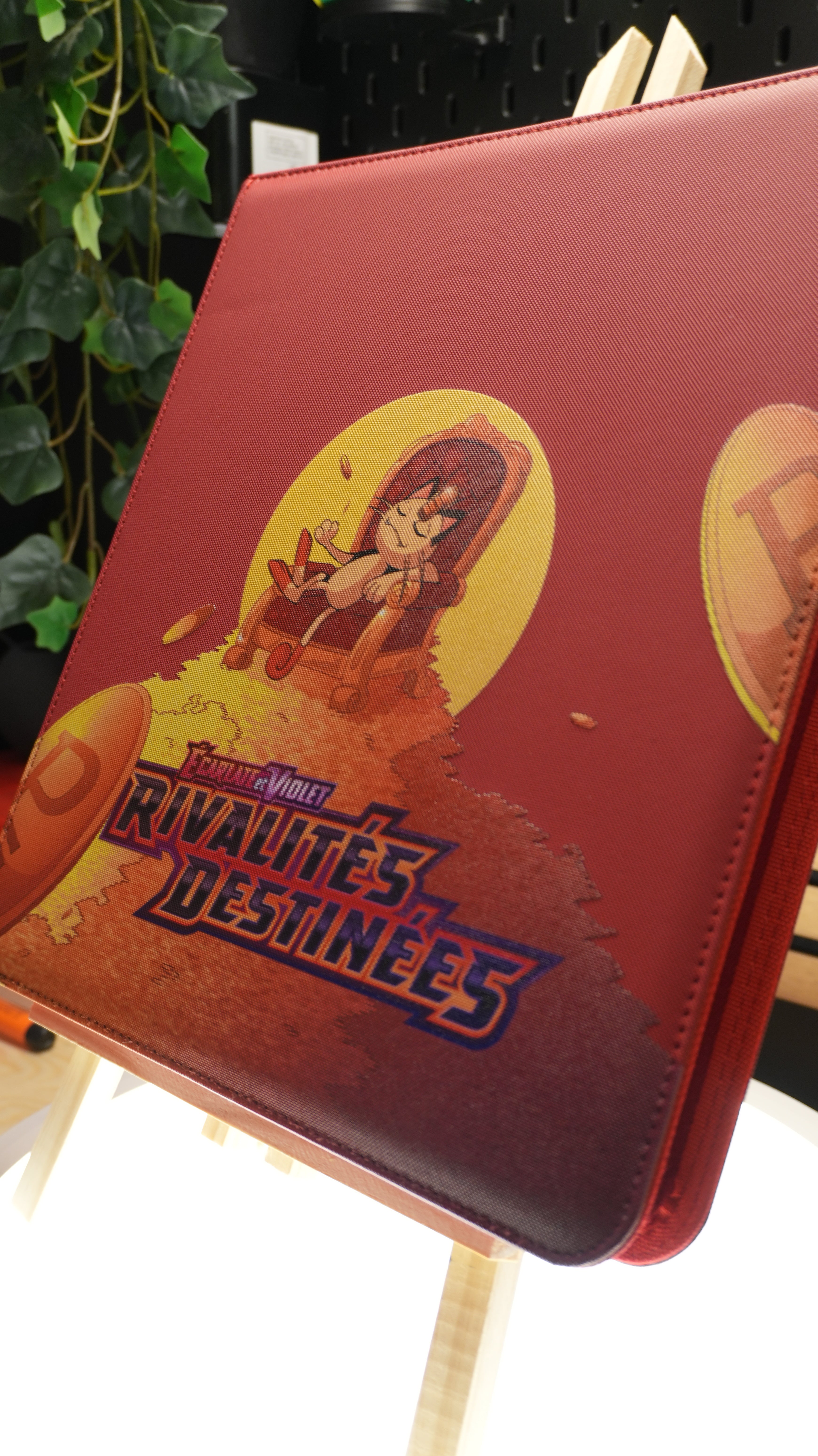 Binder Rivalités Destinées Miaouss & Giovanni EV10