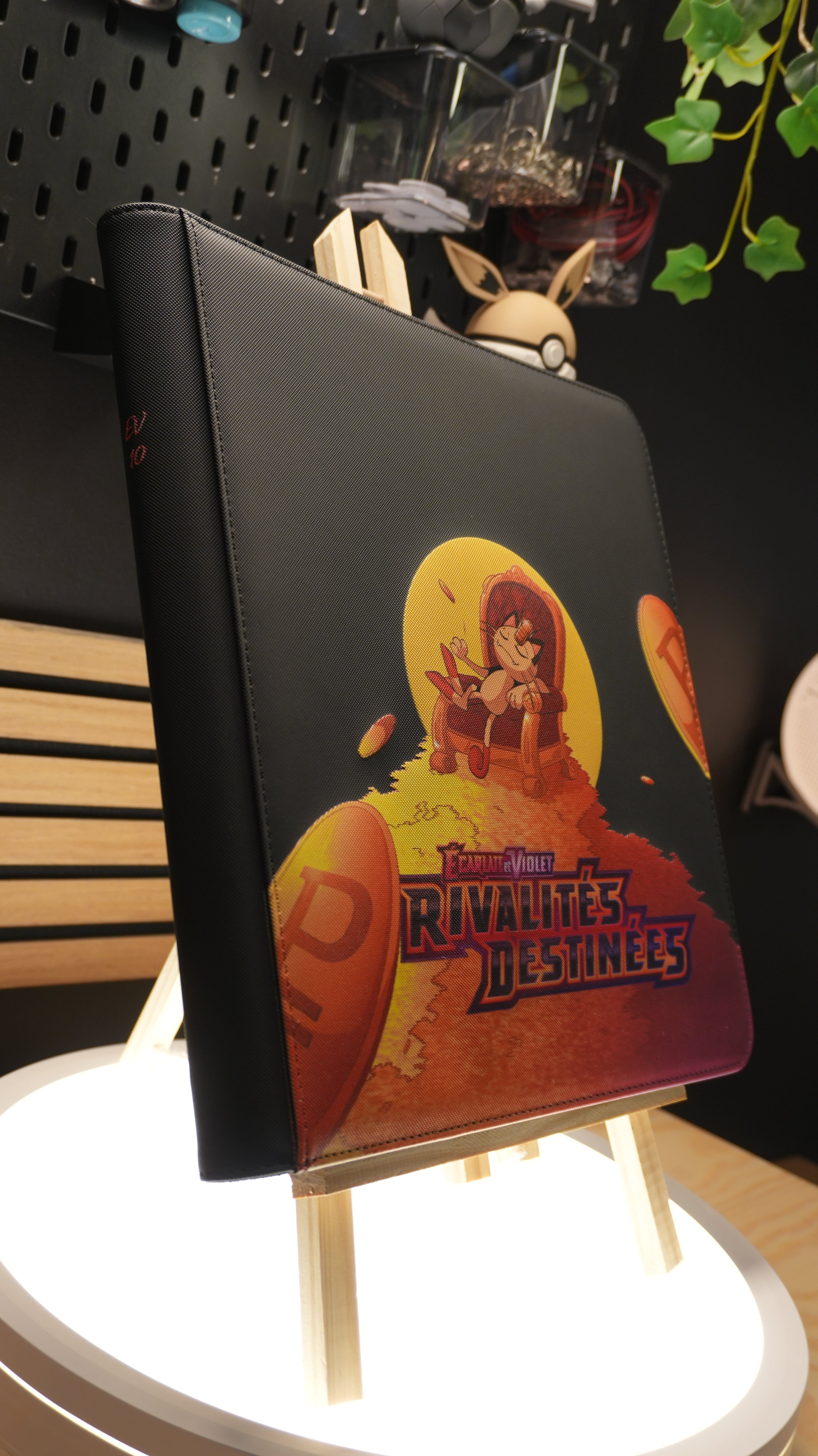 Binder Rivalités Destinées Miaouss & Giovanni EV10